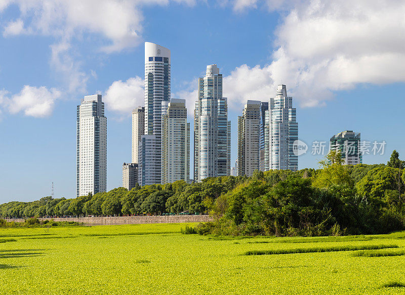 布宜诺斯艾利斯，Puerto Madero，从Reserva观看Ecológica阿根廷